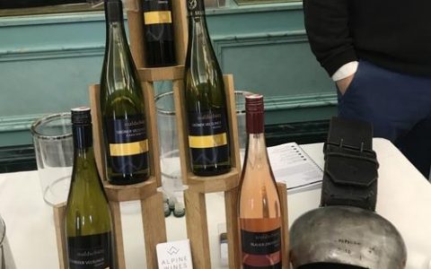 David Wine招聘，招什么岗位？