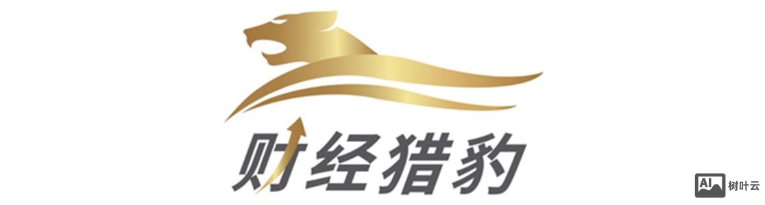 猎豹 招聘 金融