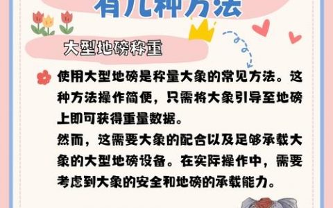 如何趣味讲解elephant一词？
