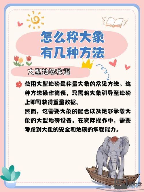 如何有趣讲解elephant这个词