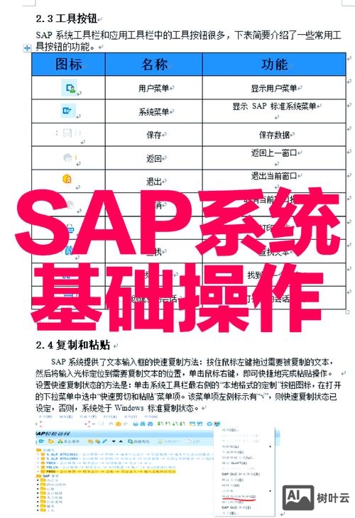 sap 命令行