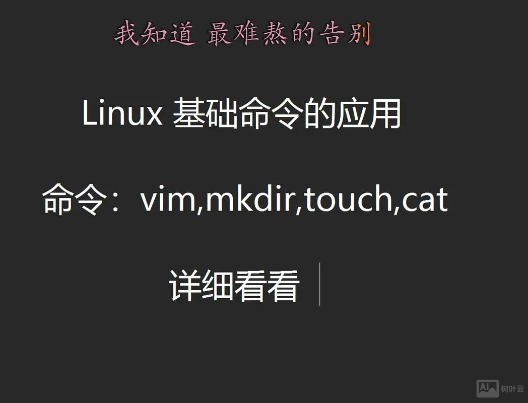 linux命令后面加