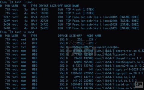Linux命令后加什么符号能实现特定功能？