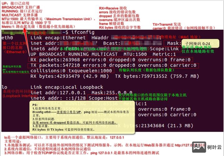 创建svn分支命令