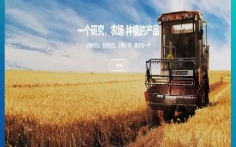 手机端网站创建怎么做？