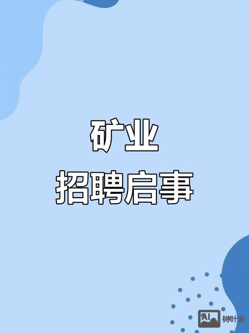 bi岗位招聘