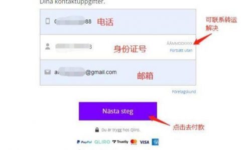 瑞典网站建站有哪些关键步骤？