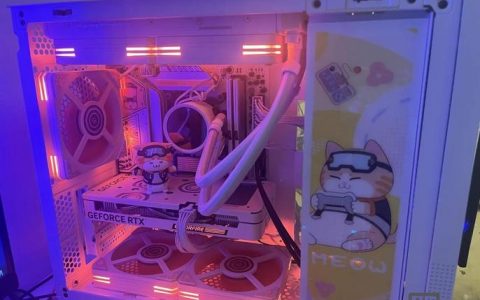 美橙虚拟主机重启步骤是怎样的?