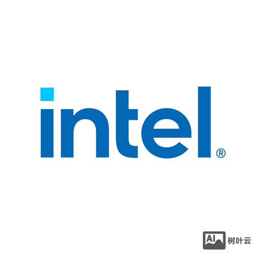 intel 招聘 server