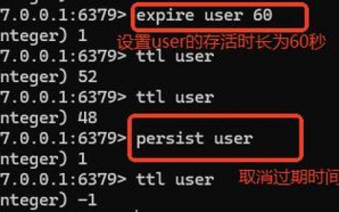 Redis启动命令有哪些参数及用法？