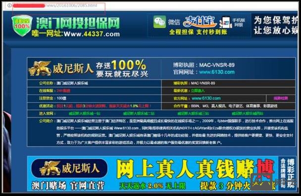 网站被挂黑链如何举报