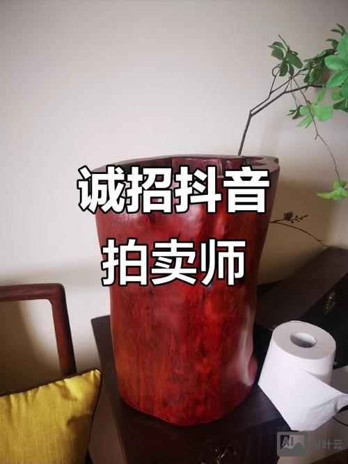 拍卖招聘模式