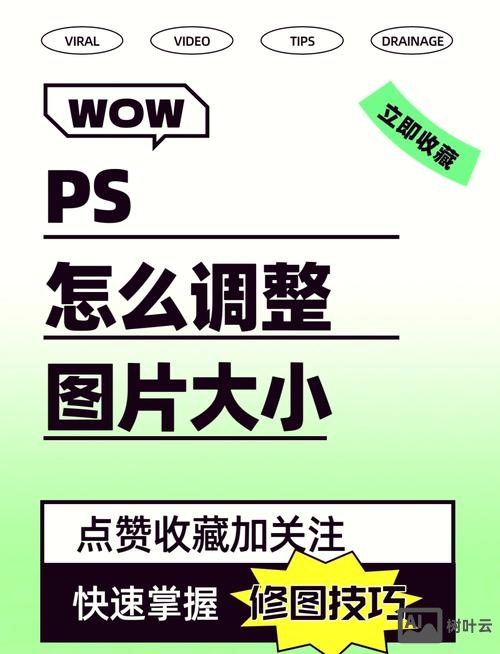 ps如何将图片放大缩小