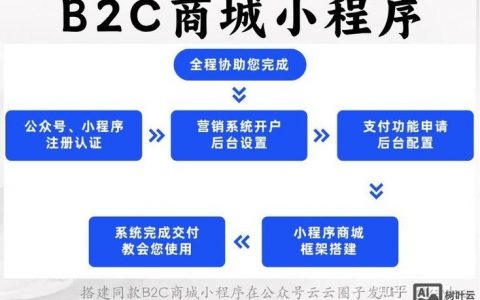 搭建B2C平台，关键步骤与核心要点有哪些？