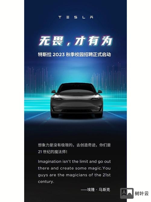 特斯拉怎样招聘