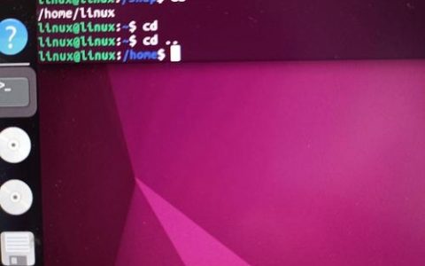 如何启动Linux命令？