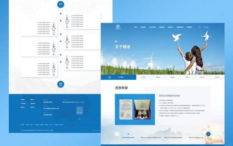 网站定位分析的关键步骤是什么？