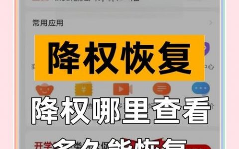 网站被降权了?如何快速判断?