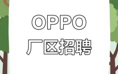 OPPO相机招什么样的人才？