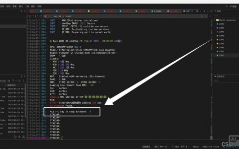 aix编辑命令有哪些常用操作技巧？