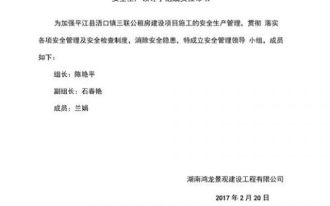 任命令格式有哪些具体要求？