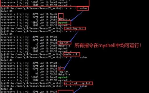 Shell循环命令有哪些常见用法？