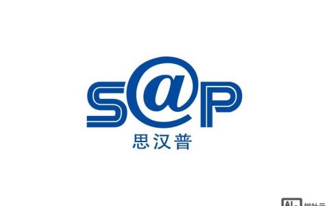 SAP GTS招聘要求有哪些？