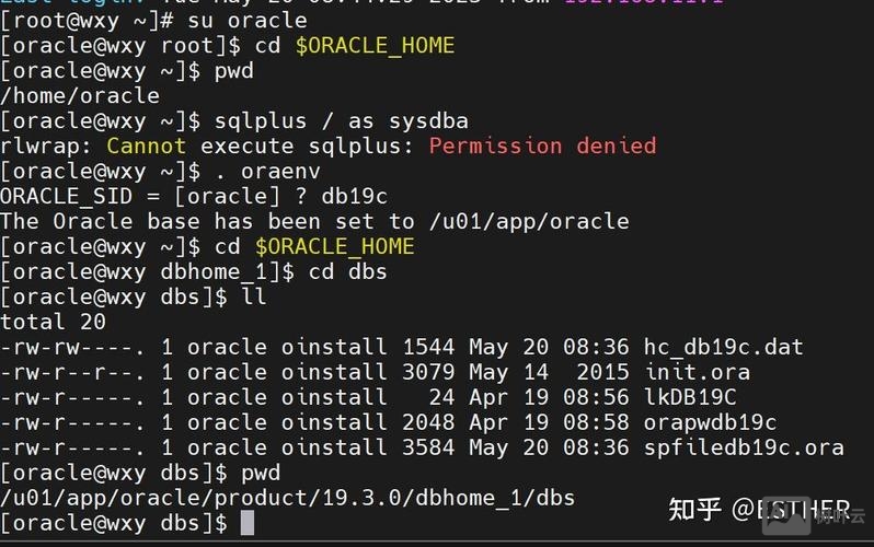 打开oracle命令