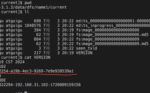 如何运行Hadoop命令？
