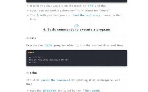 shell命令交互如何高效使用？