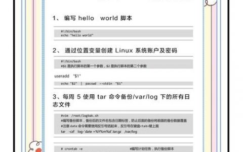shell如何快速调用上条命令？