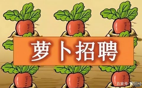 长春萝卜招聘是啥？招啥岗？待遇咋样？