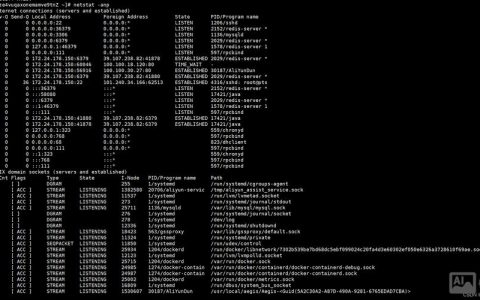 Linux命令如何正确启动？