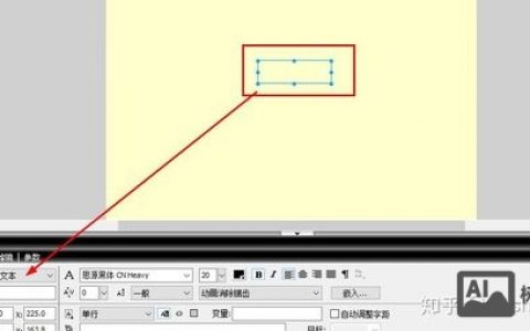 Flash舞台文本输入如何操作？