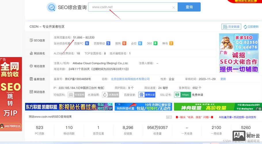 如何看自己网站浏览量
