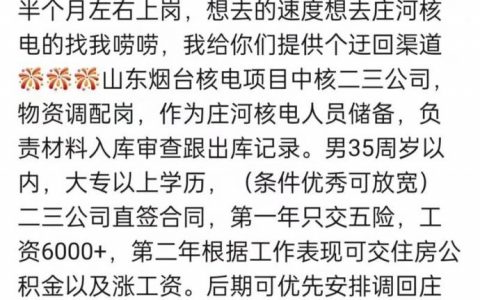 大连nec招聘要求有哪些？