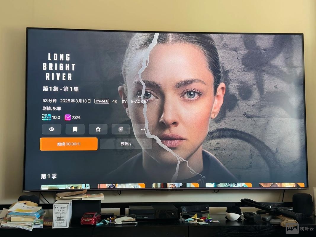 如何看奈飞分辨率