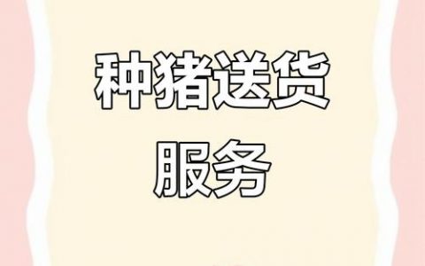 小猪罐子招聘，什么岗位在招？