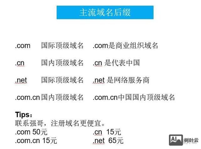 国际网站的域名如何选