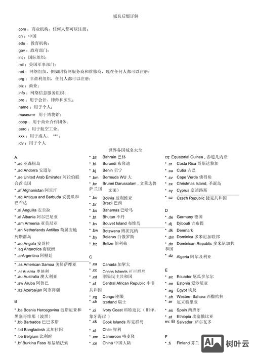国际网站的域名如何选