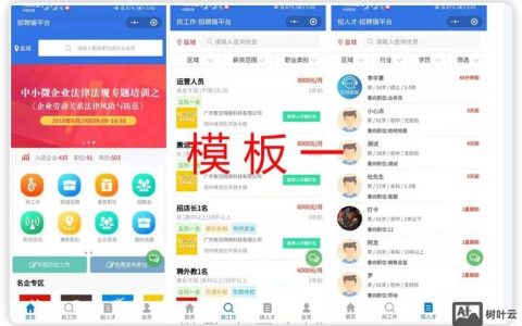 招聘软件如何高效实现？