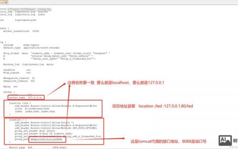 Nginx启动命令常用参数有哪些？