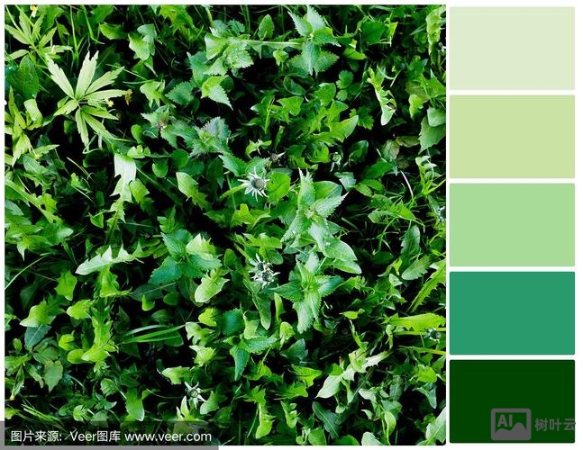 如何加深绿色设置参数