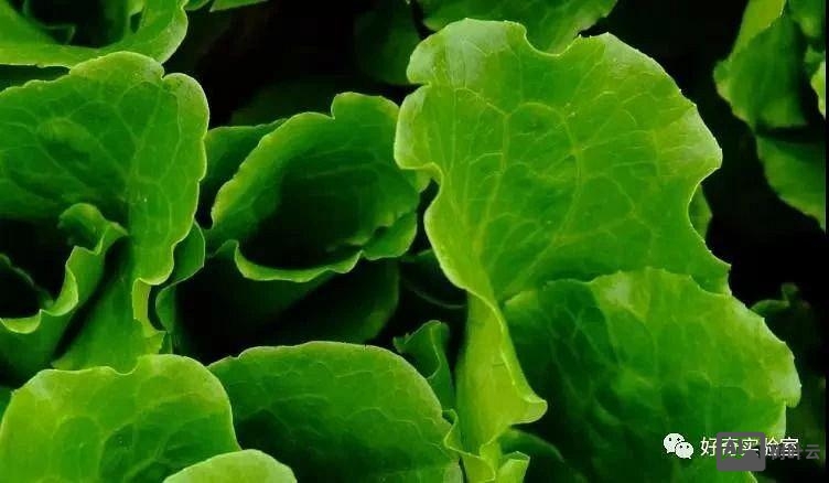 如何加深绿色设置参数