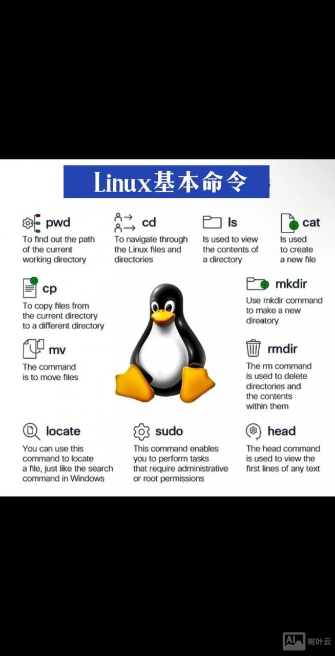 深度linux命令