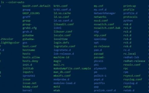 Linux命令l有哪些常用选项和功能？