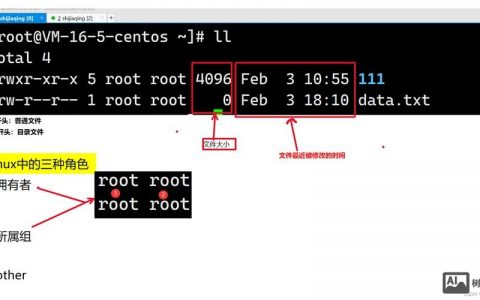 shell远程命令如何高效安全执行?