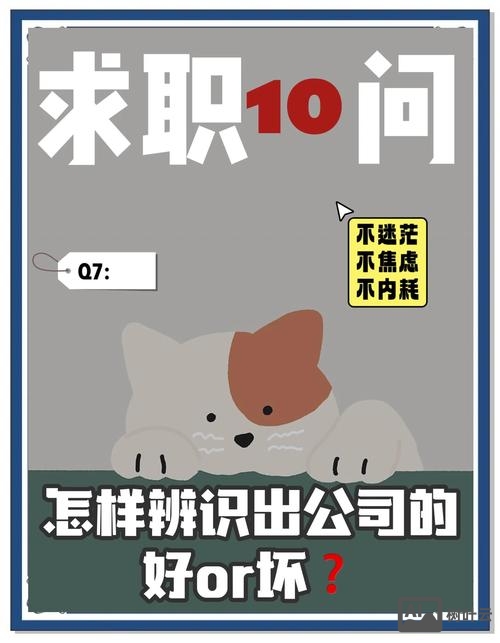 如何判断一个企业不错