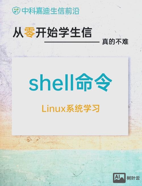 命令 shell