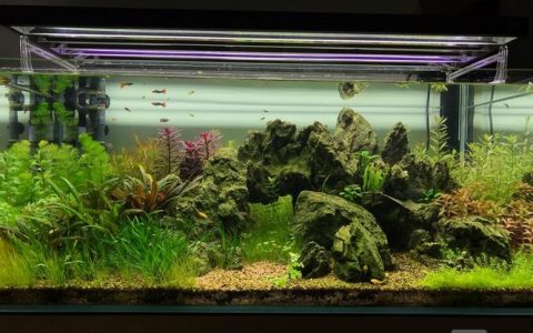 济南CTA招聘，具体岗位要求有哪些？